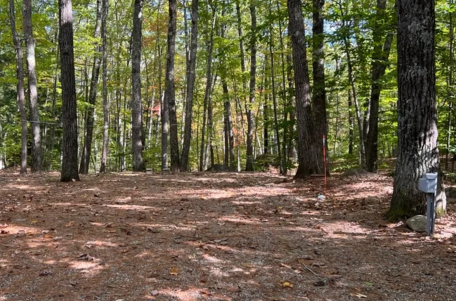 One of our full hook up rv sites.