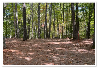 One of our large rv sites